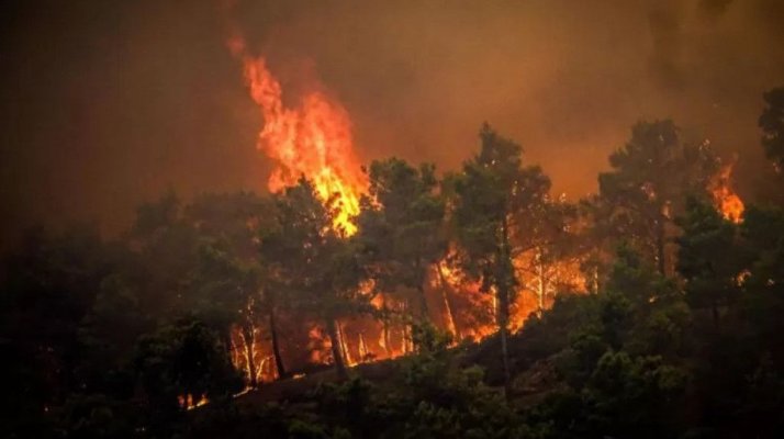 Evacuări din cauza incendiilor de vegetaţie în sudul şi vestul Turciei