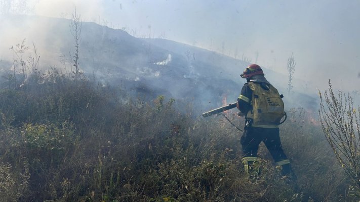 Incendiu puternic în Delta Văcărești! Pompierii din București intervin de urgență