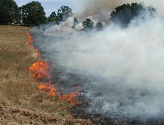 Incendiu puternic la Agigea, într-un parc auto: au ars 6 ha. de vegetație și 13 mașini 