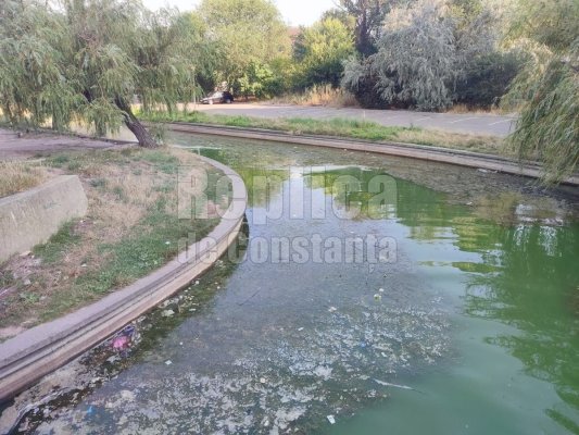 Directorul ANPC: Pârâul care face legătura dintre Siutghiol şi Lacul Tăbăcăriei e focar de infecție