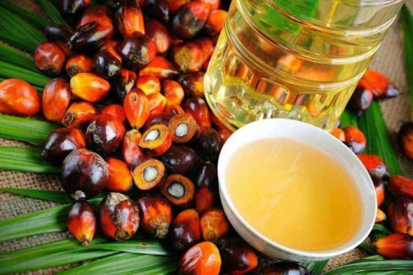 Ce alimente au devenit campioane mondiale în provocarea unor boli grave