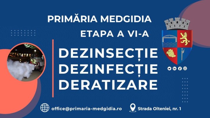 Primăria Medgidia continuă campania de dezinsecție și de deratizare