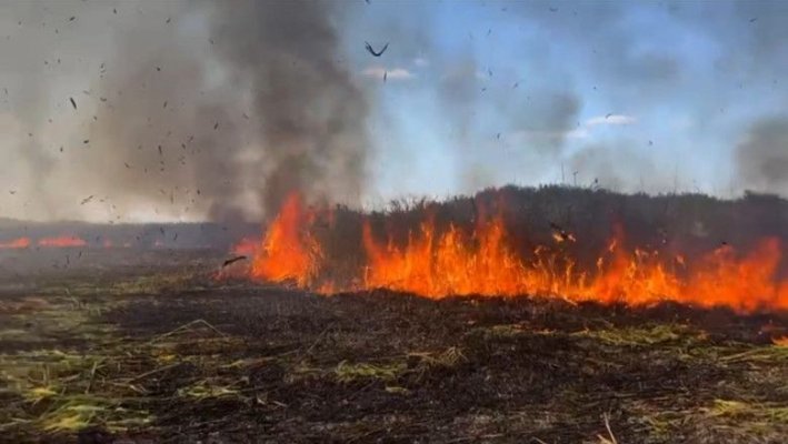 Incendiu de vegetaţie la marginea oraşului Bălan, Harghita! Pericol de extindere la o pădure