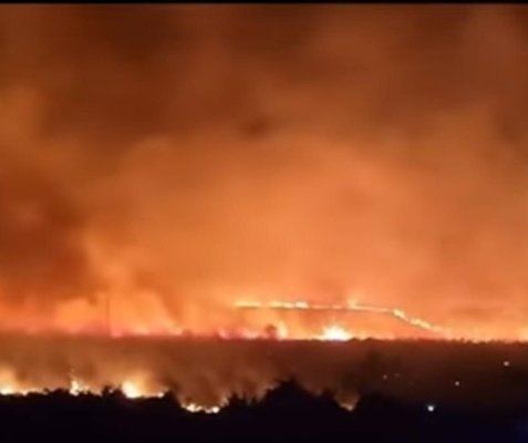 Murfatlar România, amendată de Garda de Mediu din cauza incendiilor masive de la Poarta Albă