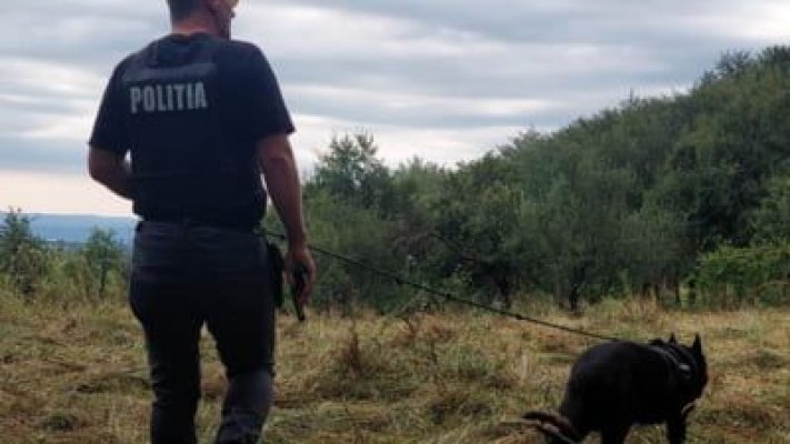 Doi copii au pus pe jar o armată întreagă de poliţişti, pompieri şi jandarmi