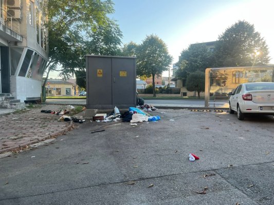 Amendă usturătoare pentru aruncarea gunoiului pe domeniul public, aplicată de polițiștii locali