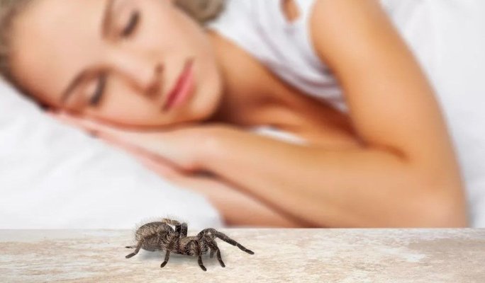 Nimeni nu şi-ar fi închipuit! Câte insecte înghite un om, în somn, pe parcursul vieții