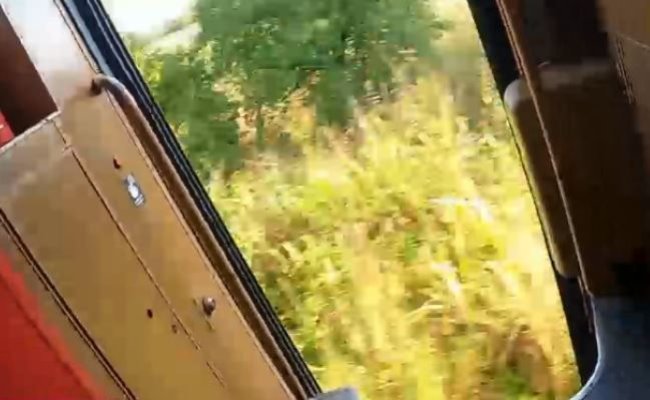 Tren plin cu pasageri, rămas fără ușă, în mers. CFR SA: Ușa a căzut singură
