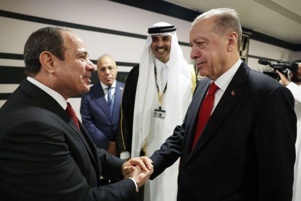 Prima întrevedere Erdogan-Sissi după un deceniu de tensiuni, în marja G20