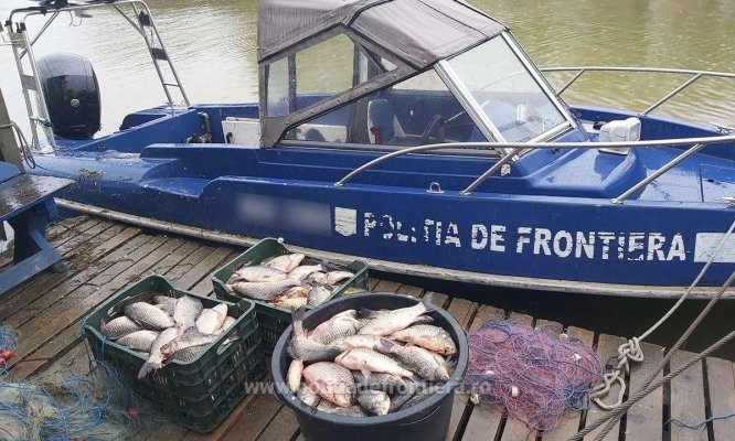 Acțiune de amploare în Delta Dunării: Sute de kilograme de pește și unetle de pescuit, confiscate