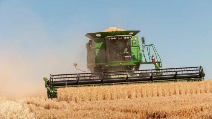 România, cel mai mare exportator de grâu din UE în primele două luni ale sezonului 2023/24
