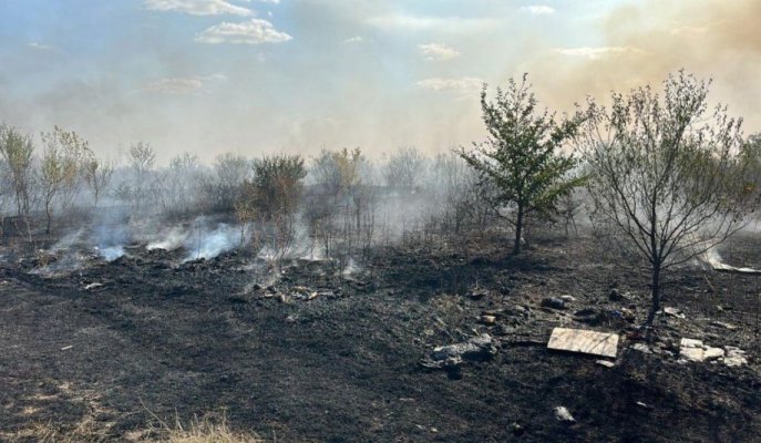 Incendiu puternic lângă Capitală. Ard peste 40.000 de metri pătrați de vegetație uscată