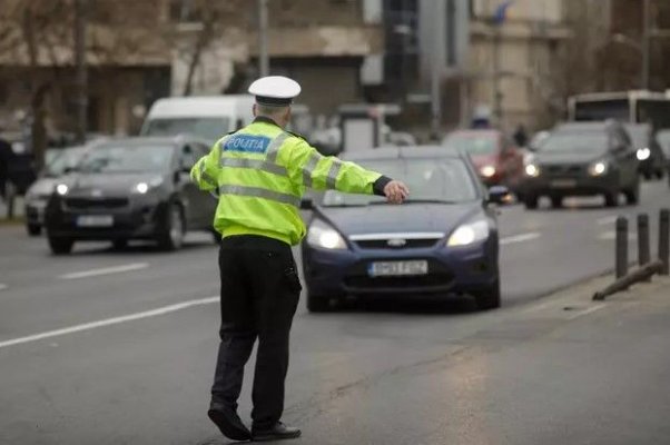 Şofer căutat de poliţişti, după ce a lovit intenţionat cu maşina un câine, pe o stradă din Năvodari