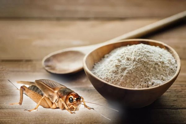 România are nevoie să comercializeze produse alimentare care conțin insecte?!