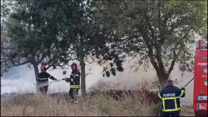 Incendiu lângă un bloc de pe bulevardul 1 Mai Vechi. Video