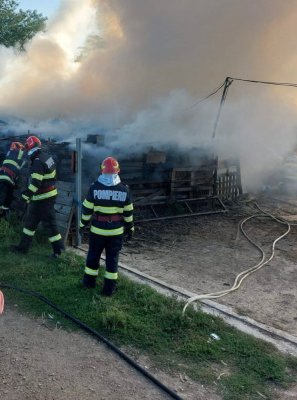 Incendiu la un adăpost de animale din localitatea Măcin