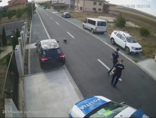 Doi șoferi beți, prinși de polițiști în Vama Veche 