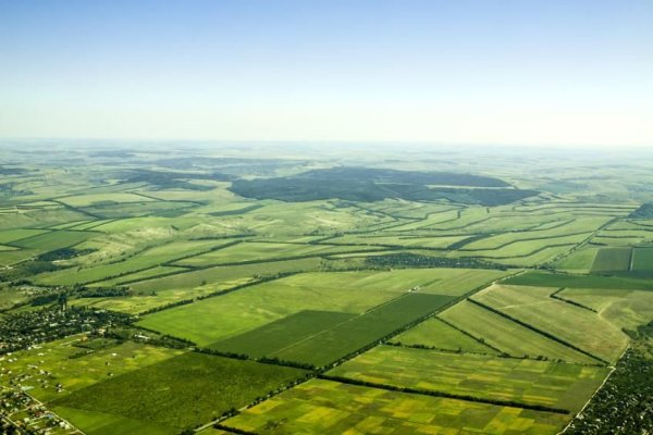Vecinătatea cu Ucraina și Moldova îndepărtează noii investitori străini de pe piața terenurilor arabile