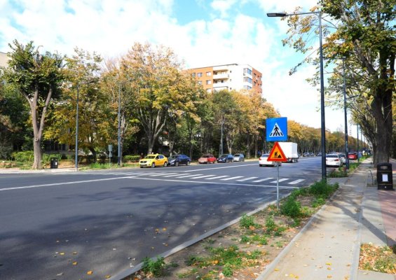Încep lucrările de asfaltare a pistelor de biciclete de pe bulevardul Lăpușneanu