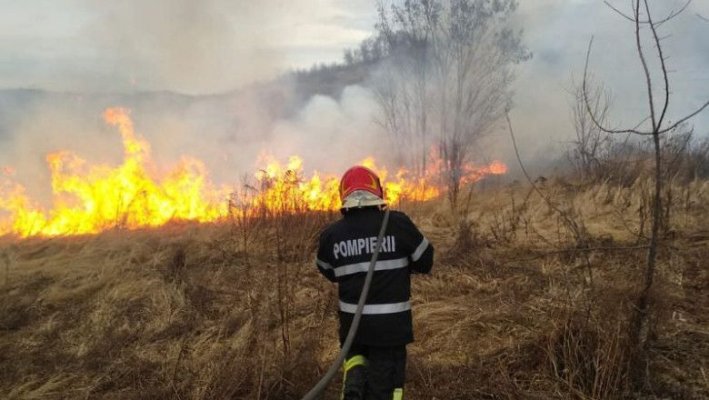 Incendiu de vegetație uscată, la Mihail Kogălniceanu. Pompierii au intervenit cu 4 autospeciale