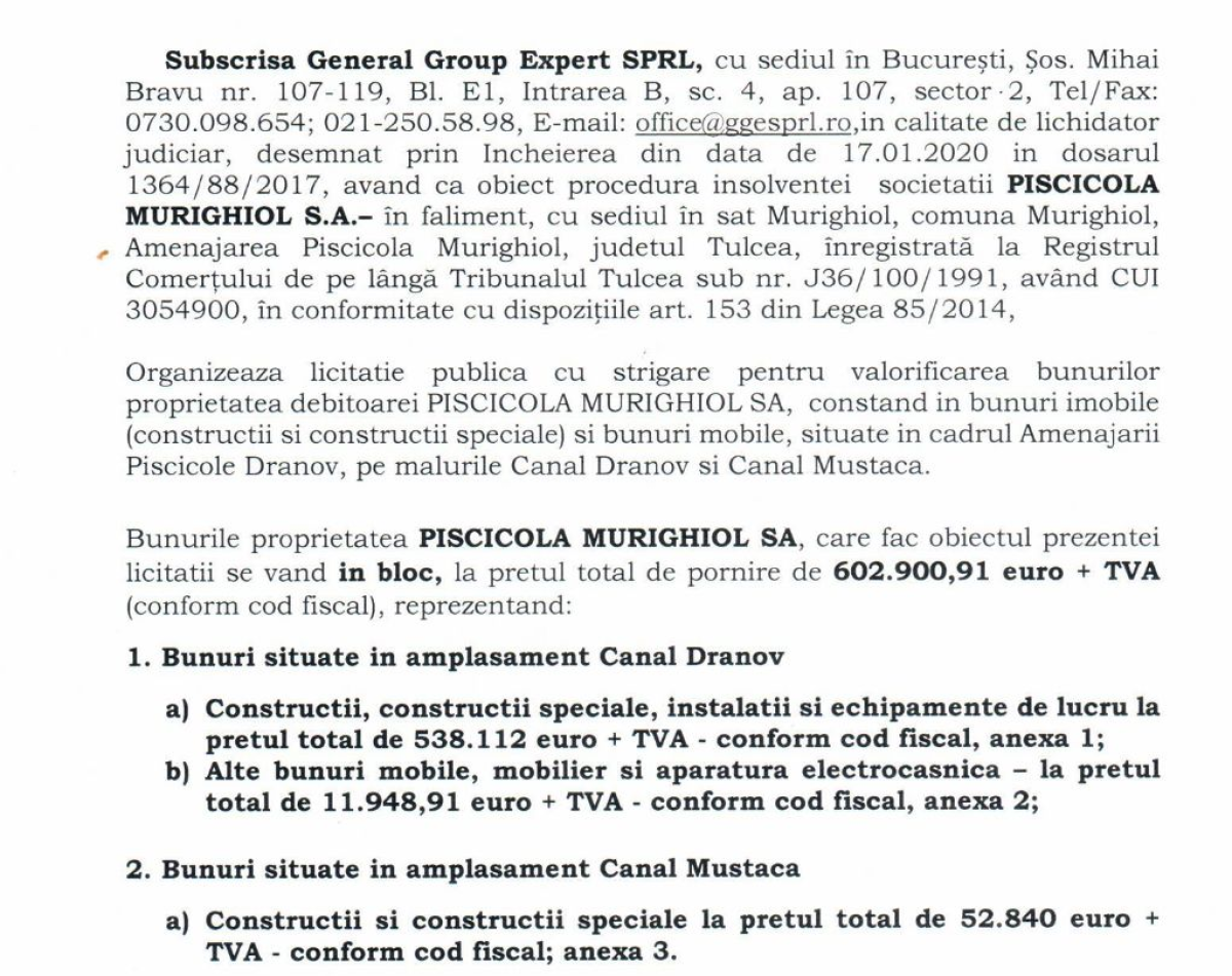 O firma controlata si de milionarul Alexandru Bittner, executata silit