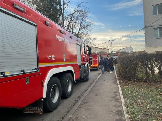 Așa ceva... O pisică a blocat traficul în zona Capitol! Video