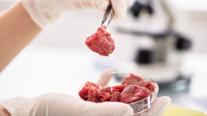 Se deschide primul laborator de carne hibrid în România