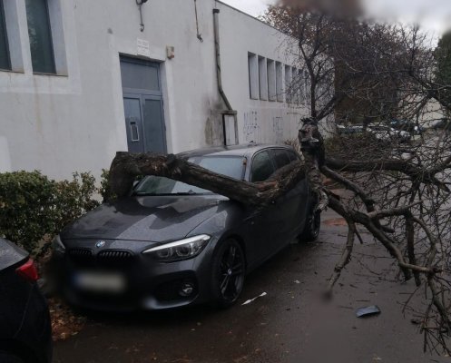 Mașină de lux avariată de un copac căzut, în Inel 2