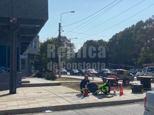 Dorel lovește din nou! A vrut să toaleteze copacii și a lăsat fără internet sute de locuințe. Video