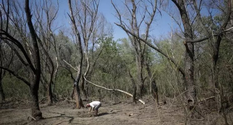 Dronă căzută în România, după un atac la granița cu Ucraina