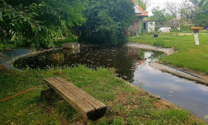 Pensiunea Grindul Lupilor din Deltă, scoasă la licitație de lichidator 
