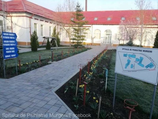 Rezultatele parţiale ale probelor din alimentele consumate de bolnavii din Murgeni nu relevă prezenţa de substanţe toxice