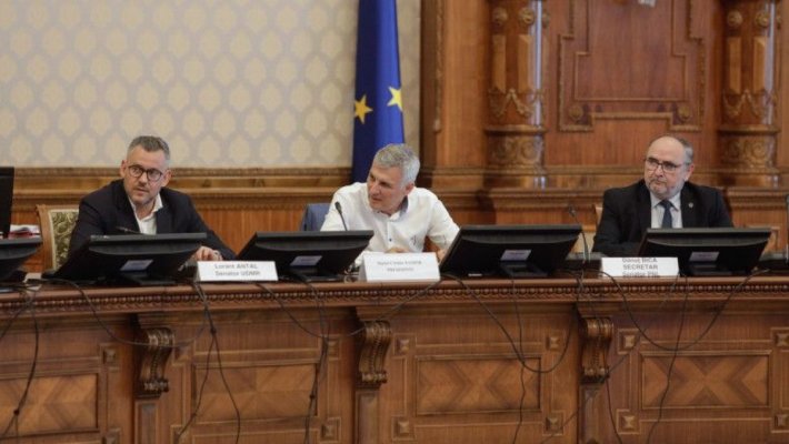 Scandal în Senat pe legea pensiilor. PSD acuză USR că a dat banii din PNRR pe „penisuri și vagine de pluș”