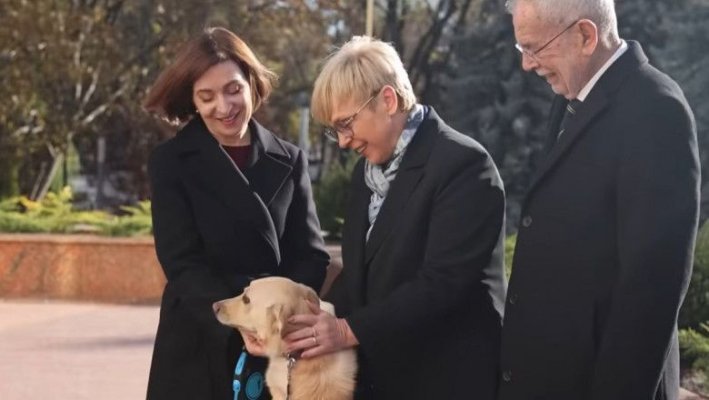 Codruț, câinele Maiei Sandu, l-a mușcat de mână pe președintele Austriei