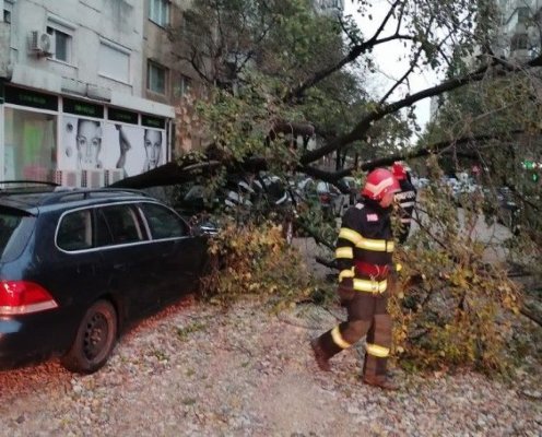 Cod portocaliu de vânt puternic, în mai multe localități din Tulcea. Măsuri de protecție recomandate