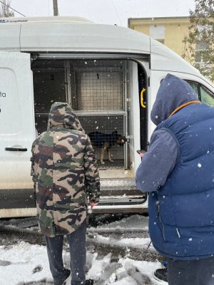 Un bărbat a cerut ajutor polițiștilor constănțeni, pentru el și câinele lui