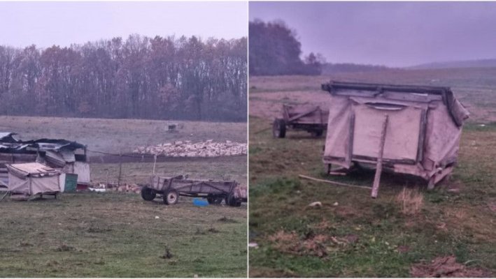 Un copil de 13 ani ar fi fost vândut de părinți unor ciobani din Brașov