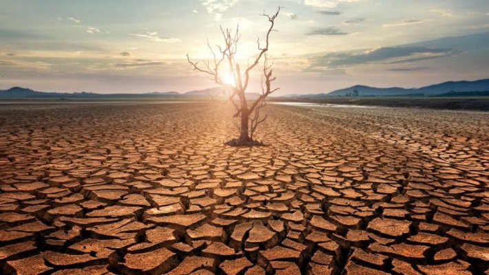 Recoltele europene de fructe şi legume sunt afectate de vremea haotică