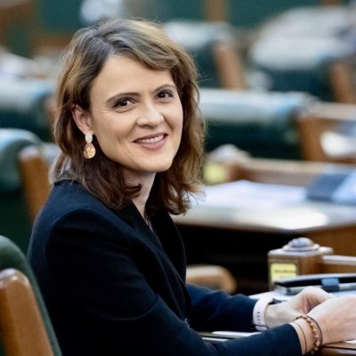 Senatoarea USR, Silvia Dinică, face propuneri legislative care deja... există