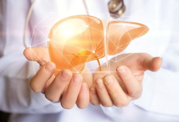 Mecanismul prin care congestia hepatică duce la fibroză şi cancer, identificat de cercetători