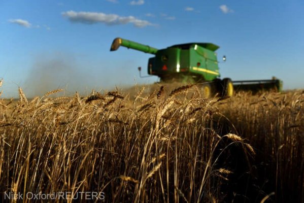 Rusia a strâns 142,6 milioane de tone de cereale în 2023, a doua mare recoltă din istorie