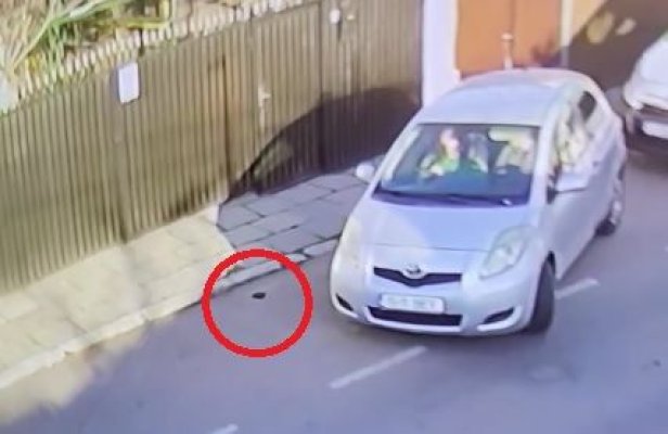 Au găsit un portofel plin cu bani, l-au golit și l-au aruncat pe geamul mașinii. Video