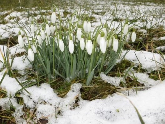 Vine primăvara! ANM anunță temperaturi record