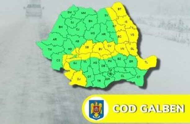 Cod galben de vânt, în Dobrogea