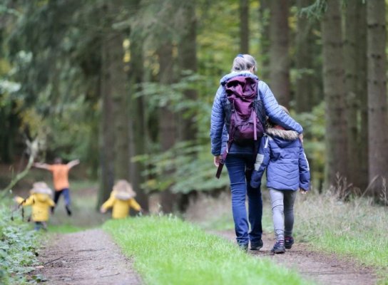Un nou eşec în Educaţie: „Săptămâna verde“ în școli, cu bani mai puțini