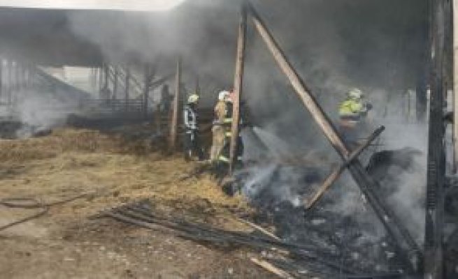 30 de oi au ars de vii după ce adăpostul în care se aflau a luat foc din cauza artificiilor