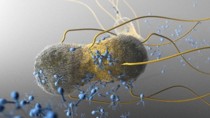 Superbacteriile pun pe jar lumea medicală. Exemplul epidemiei de infecții oculare din SUA