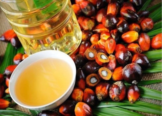 Sunt periculoase: 16 produse pe bază de ulei de palmier pe care este posibil să le aveți în casă