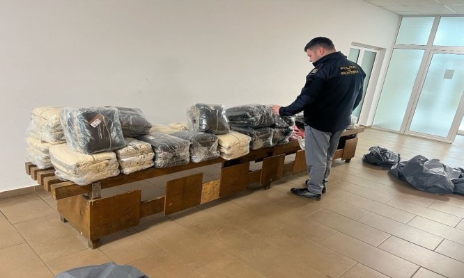 Bunuri contrafăcute și 220 kg de pește confiscate de polițiștii de frontieră