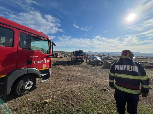 Incendiu la un saivan de animale, în localitatea Cerna. 180 de miei, găsiți carbonizați